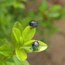 이동남자경로당 이미지