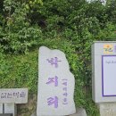 신안 퍼플섬(라벤더축제) 이미지