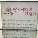 바람개비 딸기학교 이미지