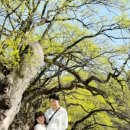 마위근린공원 이미지