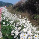 풍원농장 이미지