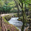 치악산한의원 이미지