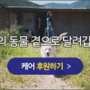 용재농장 이미지