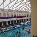 아띠몽 | 영종도 두쫀쿠 파는곳 인천공항 파라다이스 시티 아띠몽 두쫀쿠 후기