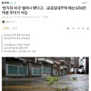 ‘반지하 비극’ 얼마나 됐다고…공공임대주택 예산 5조6천억원 무더기 삭감 이미지