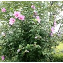 경주농원 이미지