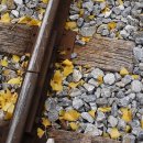 신탄진역 이미지