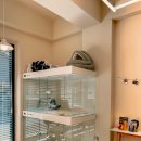 이쁘냥 고양이 미용실 이미지