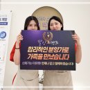 몽냥몽냥 강아지분양 고양이분양 송파점 | 송파고양이분양 미유펫 이용한 입양 스토리