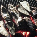풍류마을협동조합 티스토리