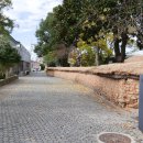 고창전통(상설)시장 이미지