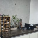 제이제이씨스터즈
