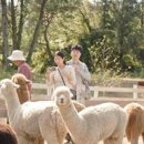 동백목장 이미지