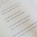 단콩 이미지