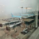 동대전중앙교회 | 7박 8일 동유럽 여행 코스 총정리! 비엔나부터 프랑크푸르트까지 알찬 가족 여행 일정