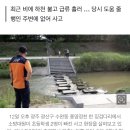 광주 도심 하천서 초등생 2명 물에 빠져 숨져 이미지