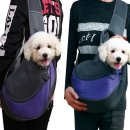 그린애견샵 이미지