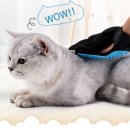 제이스그루밍 쇼핑하우