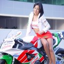 토로레이싱 이미지