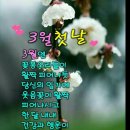 성림상사 이미지