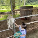 방개농장 | 예약하고 김포곤충농장으로 곤충체험 다녀왔어요