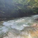 머털도사펜션민박 이미지