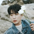 케이오션 이미지