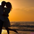 지혜의 사과 이미지