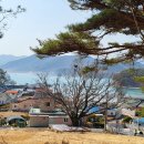 부윤목장 이미지