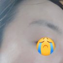 블링캣 이미지