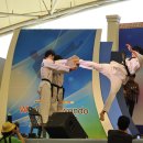 한국태권도체육관 이미지