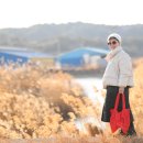 회령성