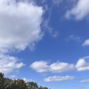 동태목장 이미지