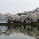 강변조각공원길 이미지