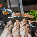 제일애견 이미지