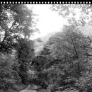 호반 춘천닭갈비 이미지