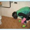 만덕3동-5 이미지