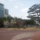 동인삼덕생태 스토리 | 국채보상공평길