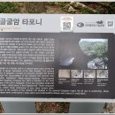 경주 백두산(449m)-함월산(584m)-기림사-골굴사 : 2022. 7. 12 이미지