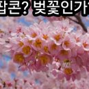 토란환경(주) | 원예기능사 자격증 10일만에 합격비법 8일차 핵심개념정리 1