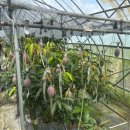 사가농장 이미지