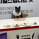 인디퍼피 | 다음생엔 우리 집 강아지로 태어날래(충남 공주 하림펫푸드 개슐랭 코스요리)