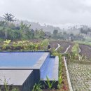 루아네 하우스 | 부킷 루아, 10만원 이하 게스트하우스!