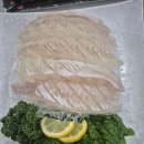 신황금어장 이미지