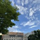 석박 | 중앙대 초전도 양자 스핀 연구실 학부연구생 후기