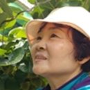 청해농장 이미지