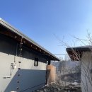 몽상가의정원 이미지