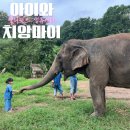 코끼리 | 치앙마이 아이와 가볼 만한 곳｜6세 아이가 가장 좋아했던 코끼리 생츄어리 후기