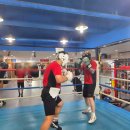 레드복싱클럽 이미지