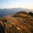 [205번째] 억새군락지 민둥산 산행 10/13(목) 이미지